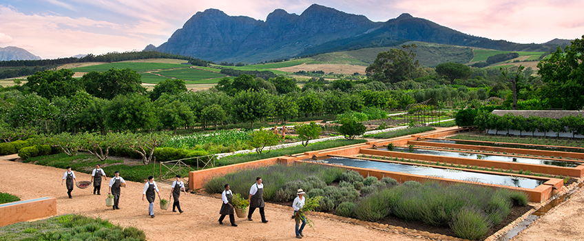 Babylonstoren in South Africa's Cape Winelands