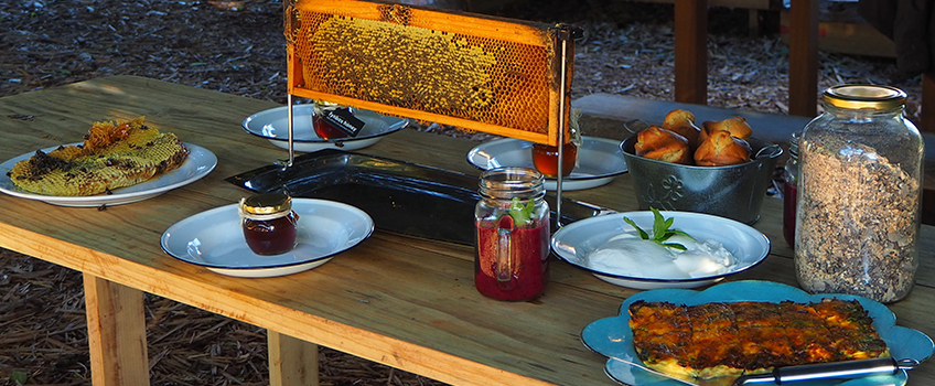 A harvest of fresh honey