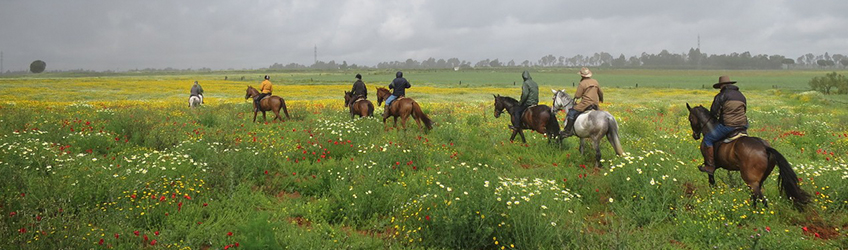 Horse riding through flower-filled meadows in Spain