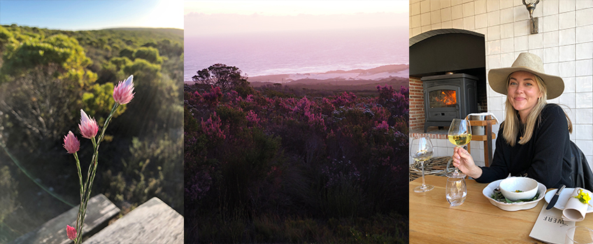 The fynbos landscapes of Grootbos