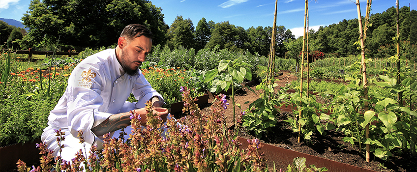 Organic farming at South American lodges