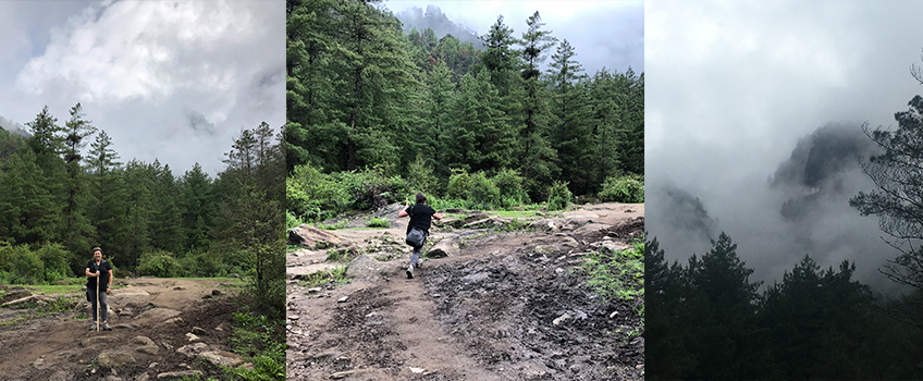 Trekking through the forested foothills of Bhutan Himalayas