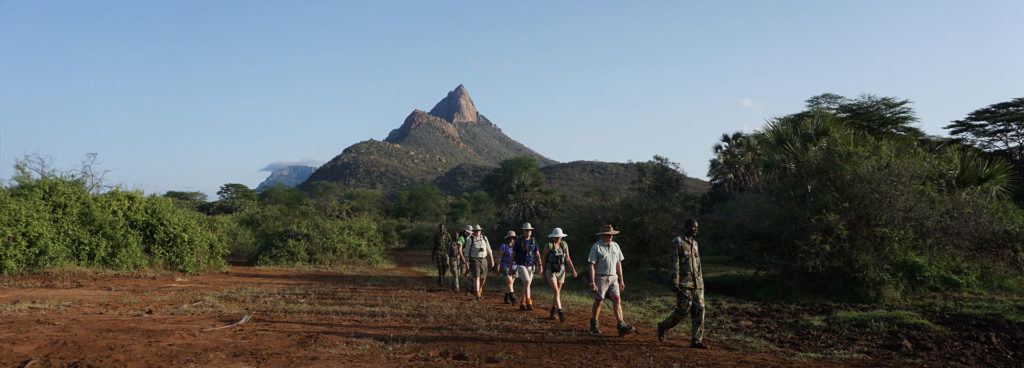 Walking safari in Tsavo, Kenya with Tropical Ice