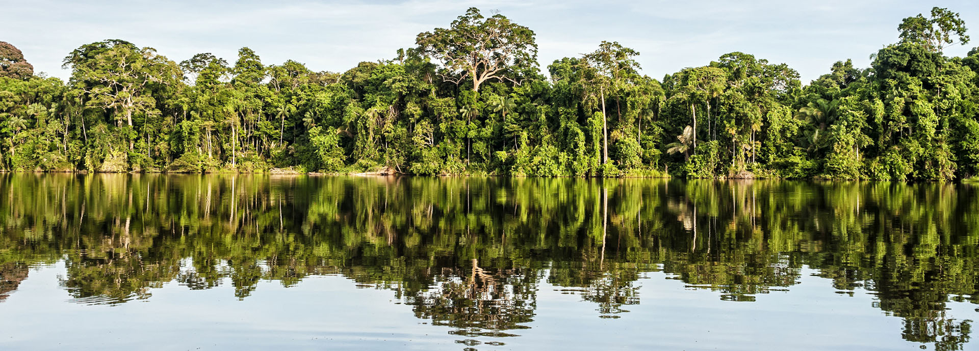 The Amazon Rainforest meets its river, casting stunning reflections on the water