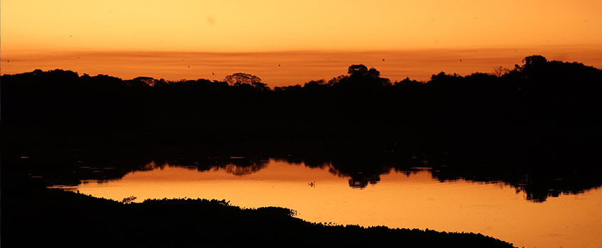 Sunrise over the Pantanal, Brazil - the world's largest inland delta