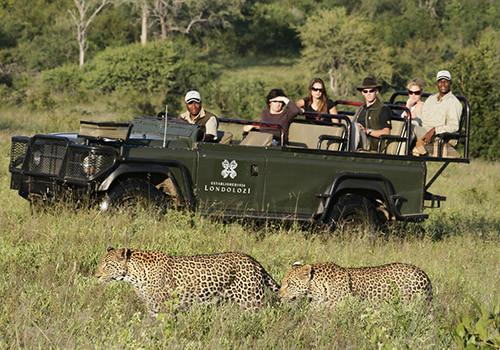 Small Group African Safari Tours