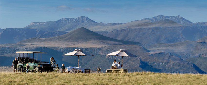 A bush picnic on a safari through South Africa