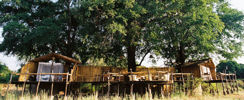 A riverside safari lodge in the shade of a sausage tree