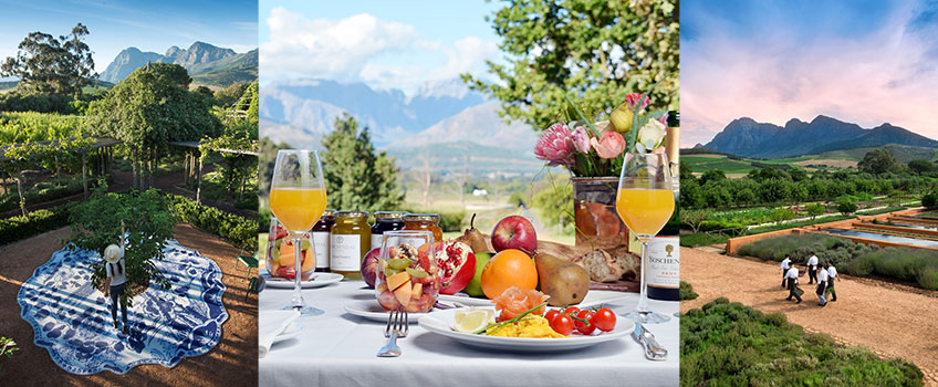 A beautiful picnic at Babylonstoren Lodge in the Cape Winelands of South Africa