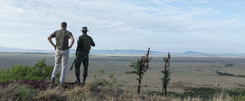 A tourist taking a walking safari in Africa