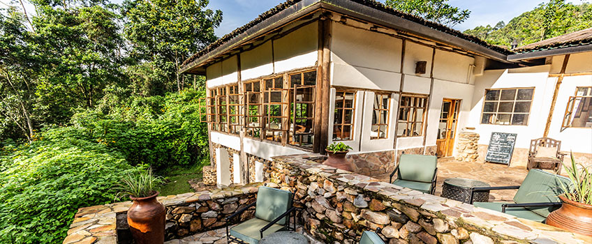 Gorilla safaris lodge surrounded by the jungles of Bwindi Impenetrable Forest