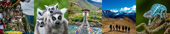 A collection of images from around the world