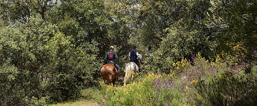Horse riding through the Sierra Morena mountains in Spain