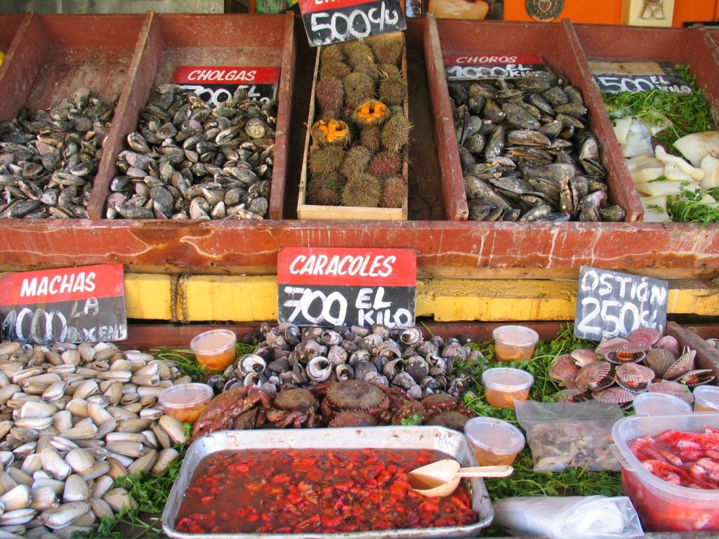 Valparaiso is a wonderful destination to enjoy seafood markets and culture on Chile tours