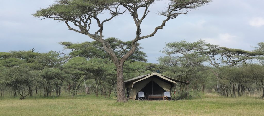 Ndutu Wilderness Camp on the Serengeti - the quintessential safari camp