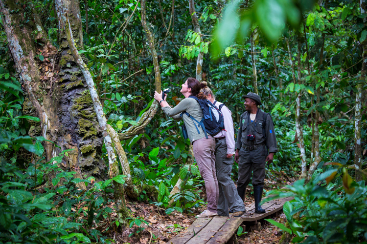 Tourists and researchers exploring the Congo rainforest
