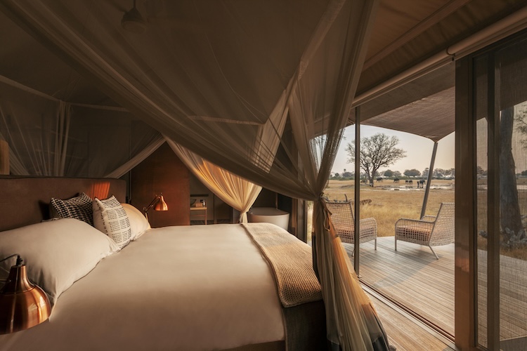Linkwasha Camp in Hwange National Park, Zimbabwe