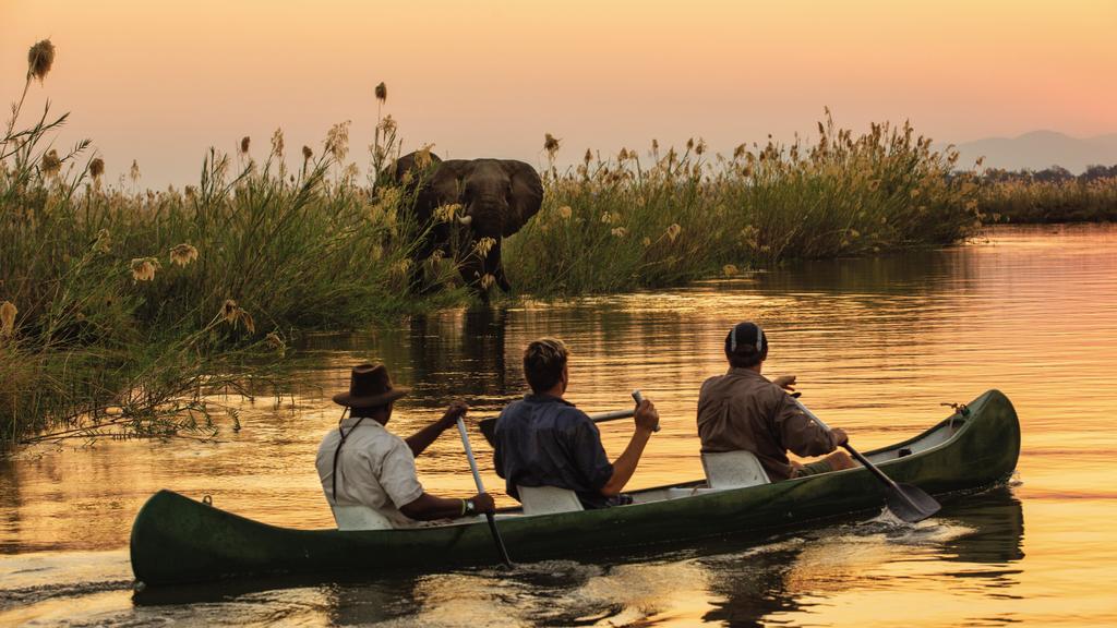 Canoe safari experience on the Zambezi River at sunset near Tembo Plains Camp in Sapi Reserve, Zimbabwe, with guests paddling towards an elephant on the riverbank.