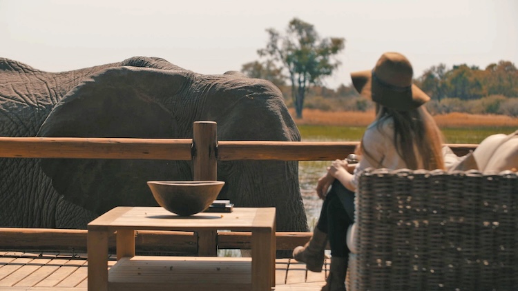 A woman enjoying the best time to visit Botswana, sitting on a balcony as a large elephant passes by