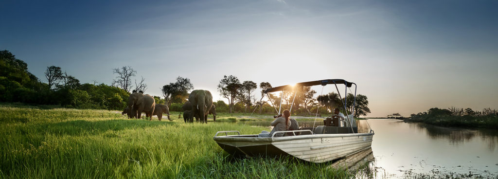Couple on a boat safari watching a herd of elephants grazing near the riverbank at sunset in a lush green landscape.