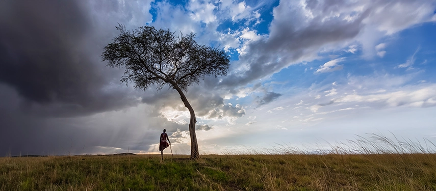 Maasai tribesman standing on one leg beneath a thorn tree at sunset on the Maasai Mara.