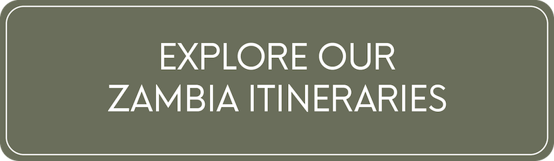 Zambia Safari Itineraries