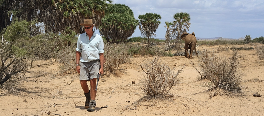 Iain Allen, host of the Great Walk of Africa, walking away from an elephant in Tsavo National Park
