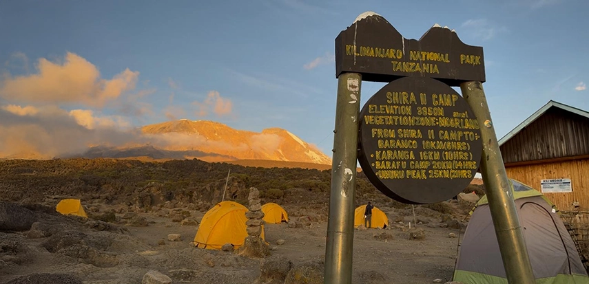 Tents scattered below the glowing snow-capped summit of Mount Kilimanjaro at sunset along the Lemosho Route.