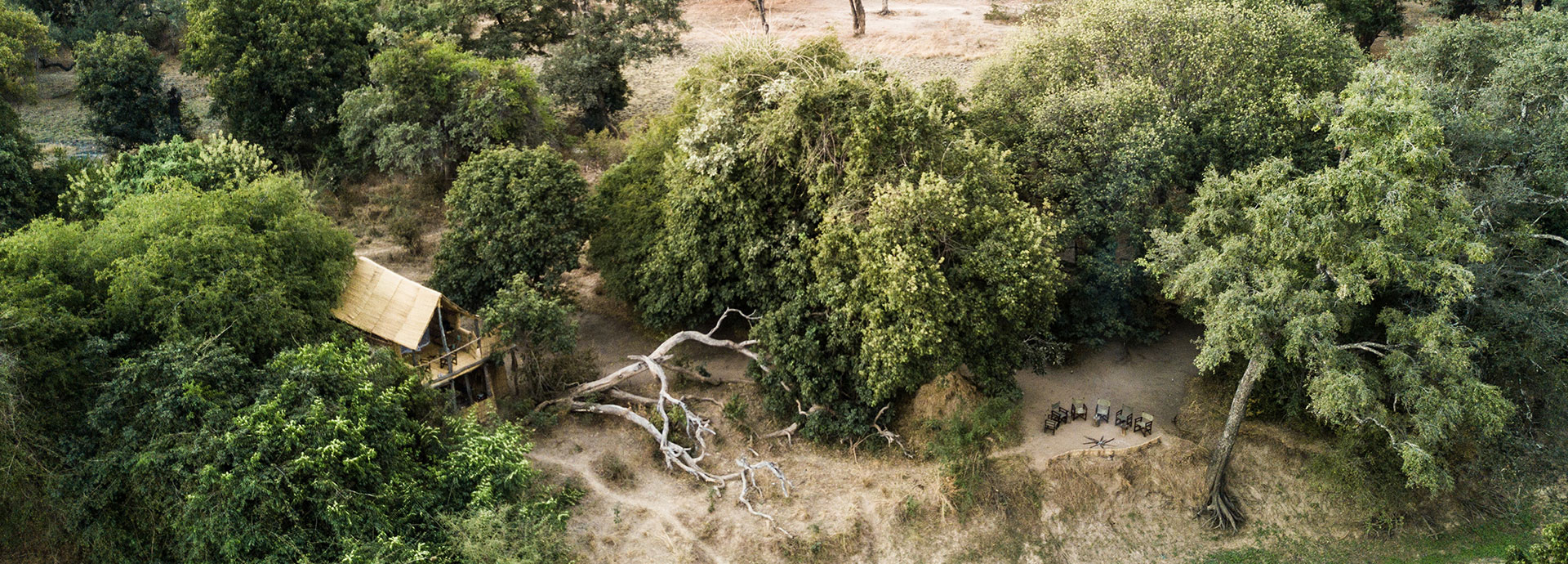 Take a walk-in adventure to Chikoko in the South Luangwa