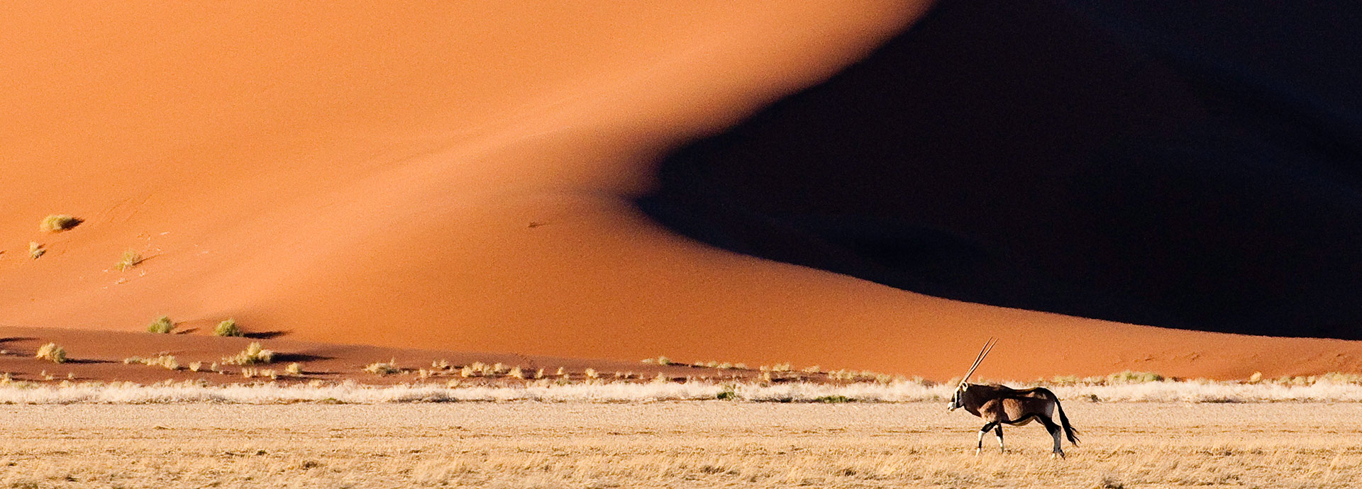 Giant sand dunes at Sossusvlei Namibia, staying at Little Kulala