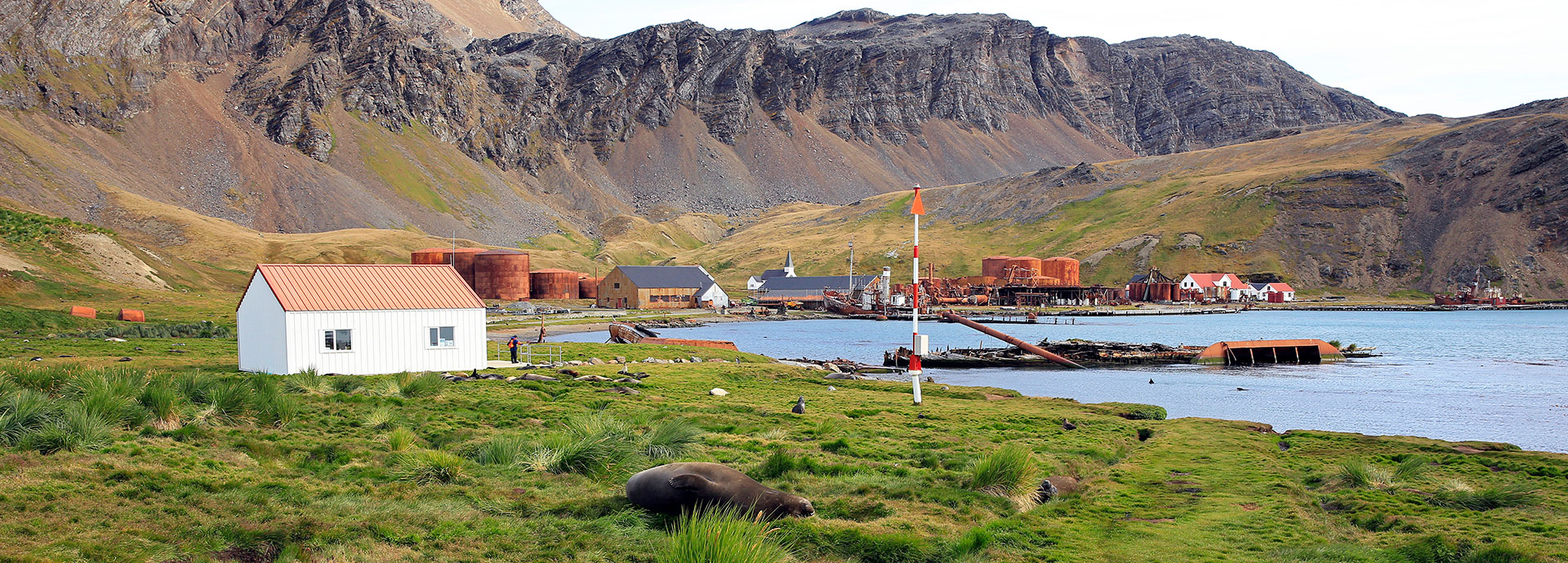South Georgia is visited on a Poseiden Antarctica cruise