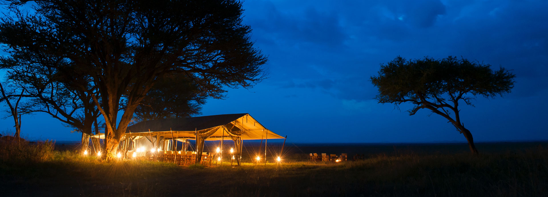 A luxury safari camp light by oil lamps at night beneath a thorntree