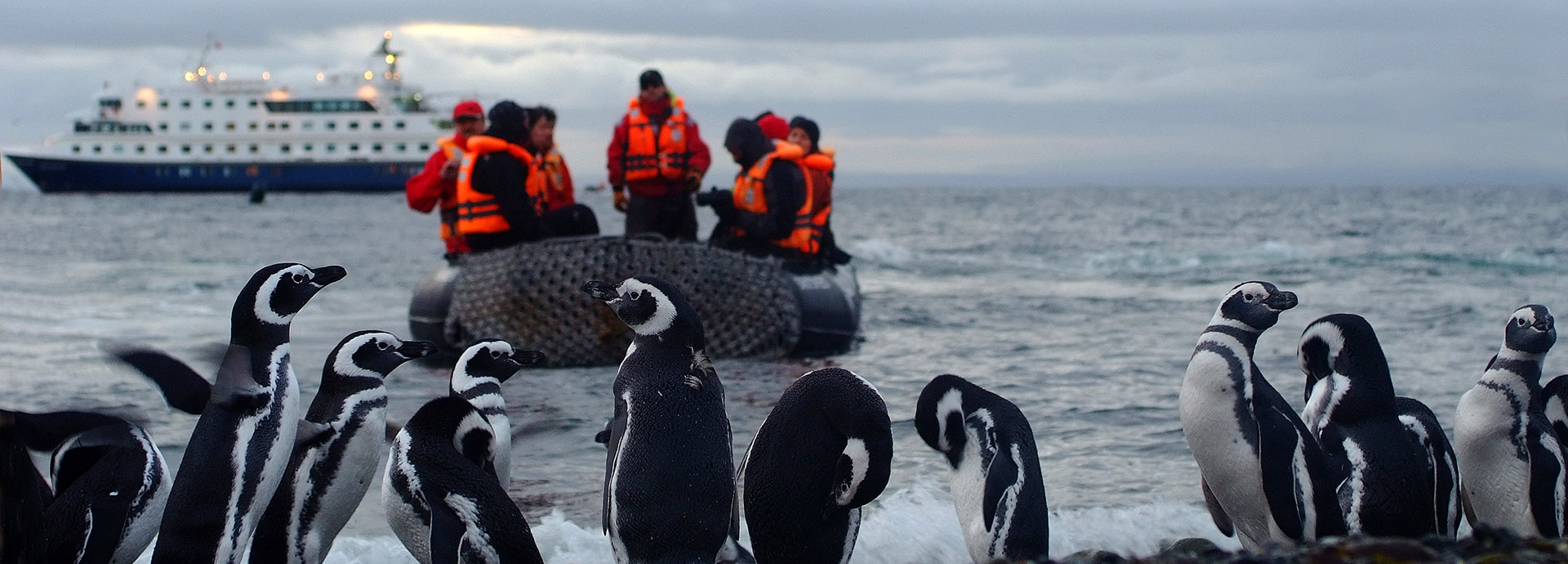 Enjoy a plethora of excursions such as viewing penguins up close on an Australis cruise
