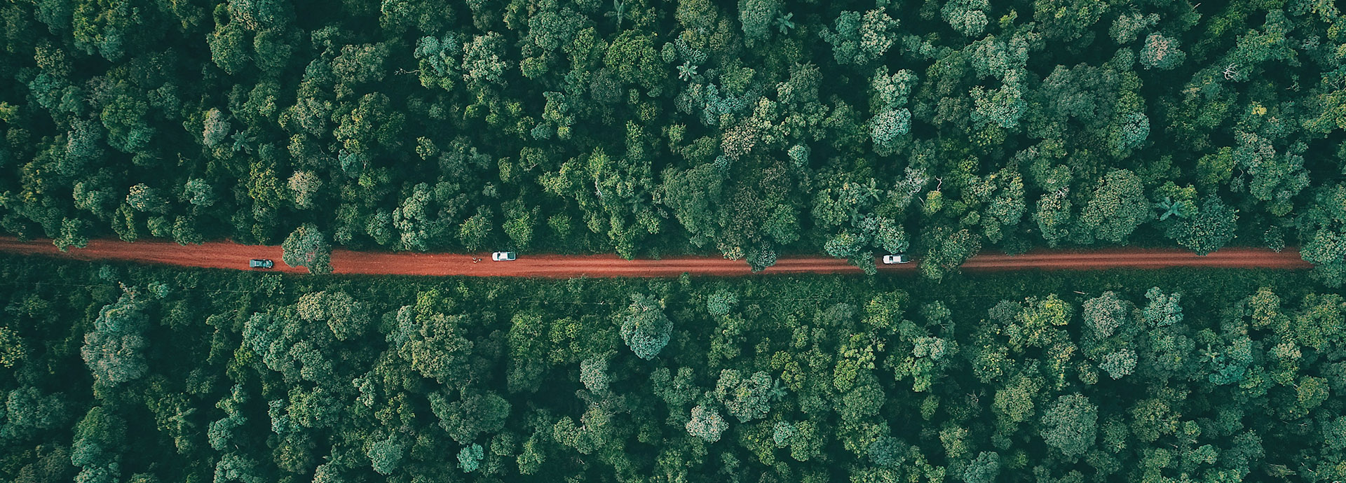 Drive to your accommodation at the Melia Iguazu passing through jungle-like landscapes