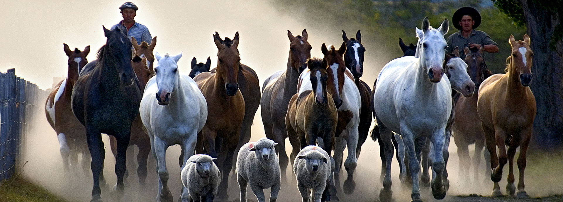 Gallop with the gauchos while at Estancia Huechahue