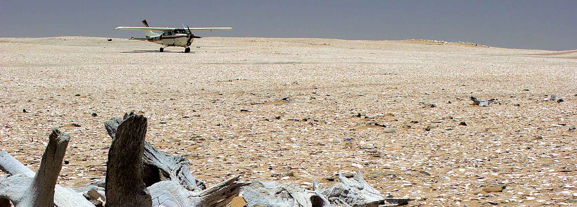 A plane lands near the bones of a dead animal for closer examination on a Skeleton Coast Safari