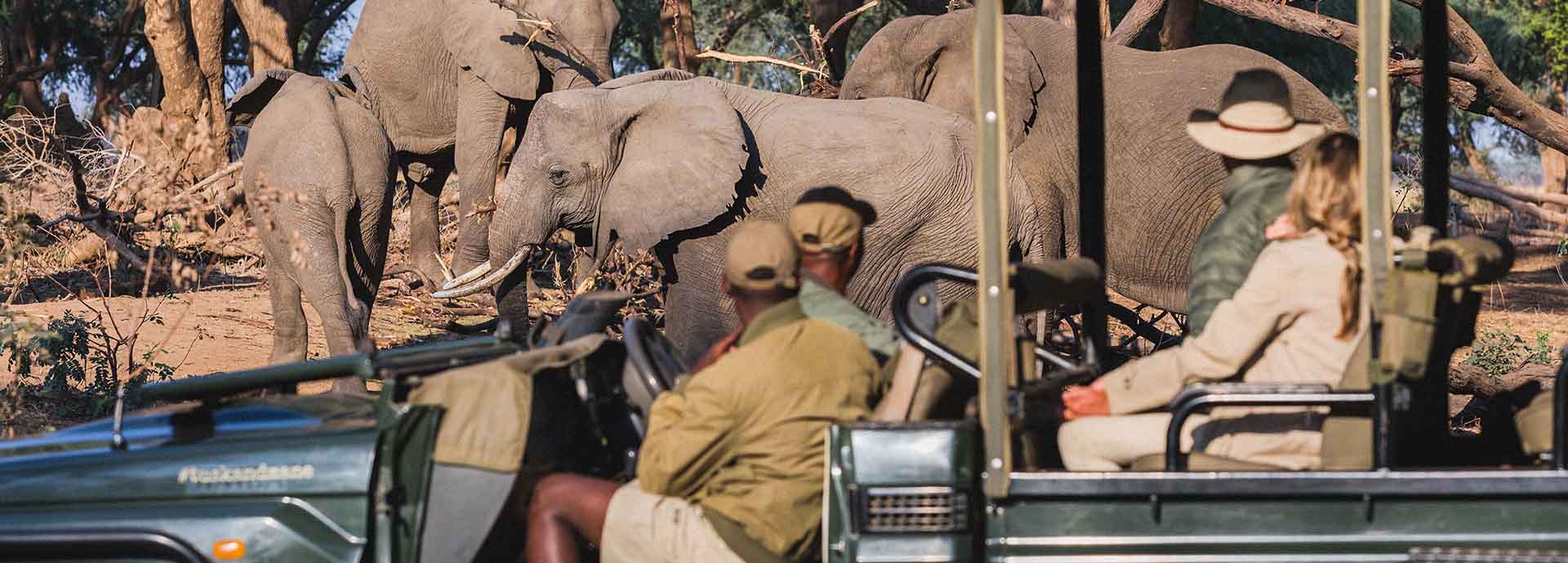 Guests and guides watching a herd of elephants from a game vehicle in Lower Zambezi National Park, Zambia.