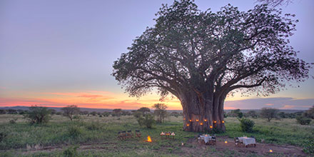 pop up bush dinner on safari in Tanzania