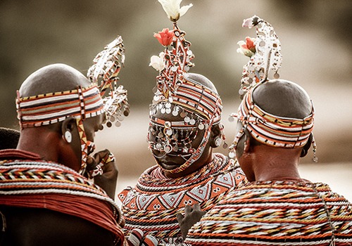 The Original Wildlife Safari Destination