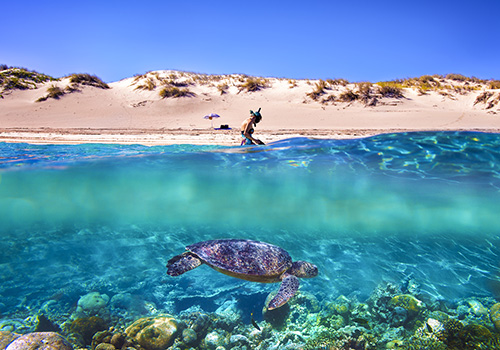 THERE'S NO PLACE LIKE HOME