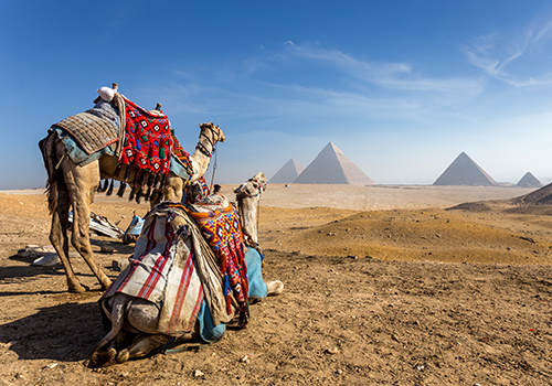 In the footsteps of pharaohs