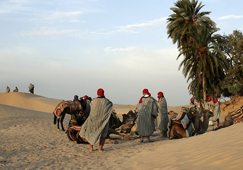 Camel Trek in the Sahara - holiday to Morocco