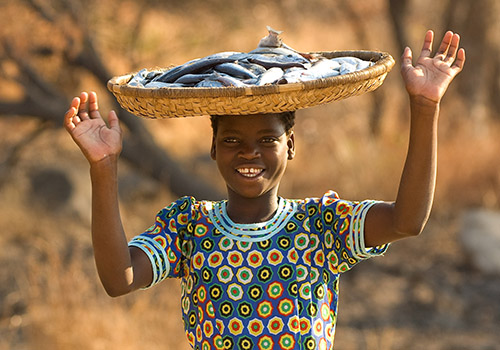 Bush & Beach Adventure