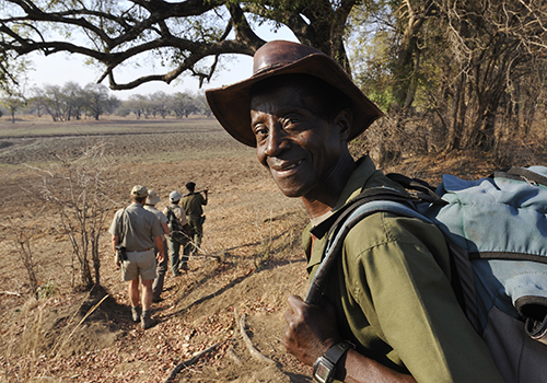 Wild & Remote African Wildlife Safaris