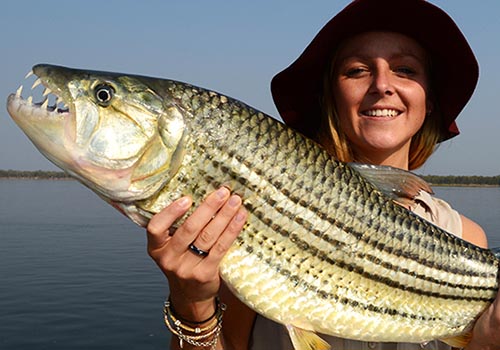 Tiger Fishing on the Zambezi River in Zambia with The Classic Safari Company