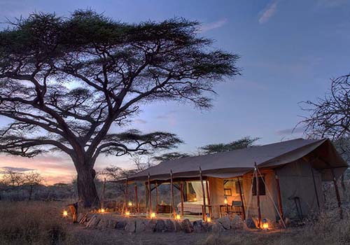 Iconic East African Wildlife Safaris