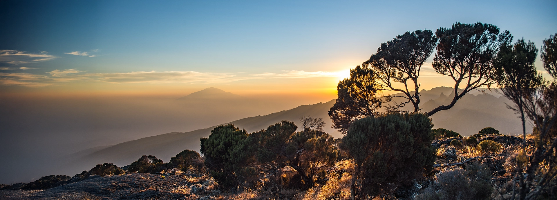 Sunrise over Mount Kilimanjaro with silhouetted trees in the foreground and distant mountain ridges fading into the horizon.