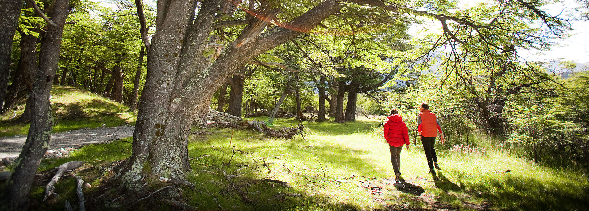 Hiking through forests and mountain foothills is integral to Chile tours
