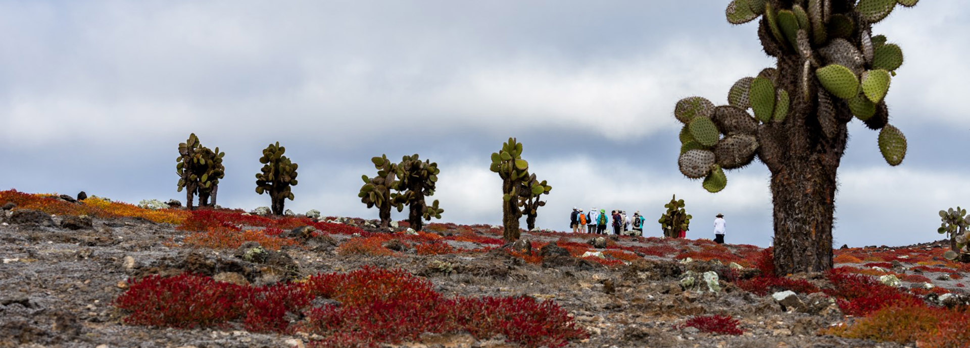 walking on the Galapagos on an Ecoventura cruise