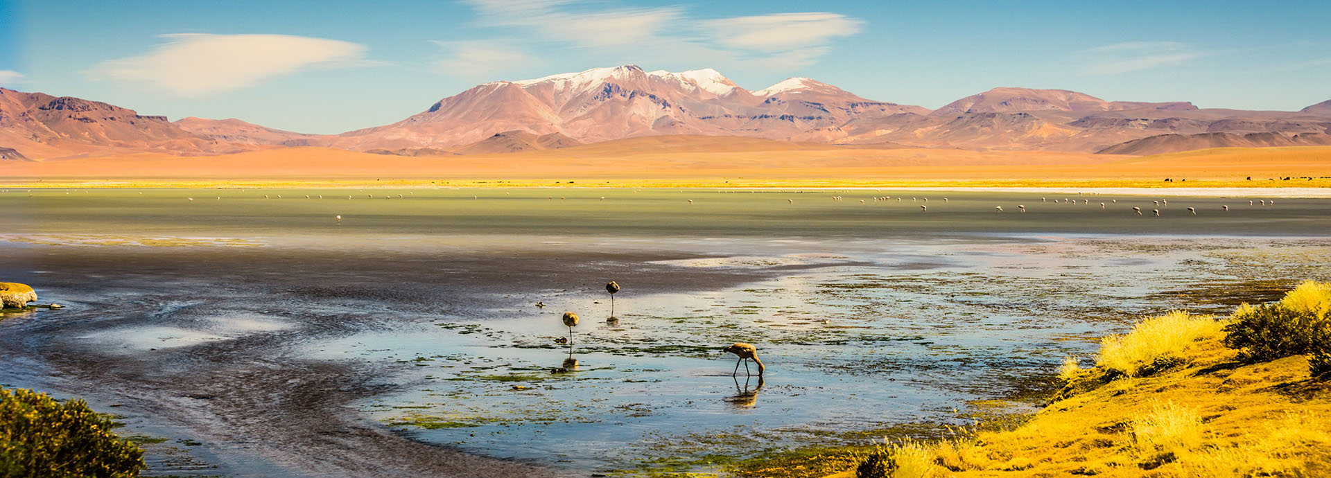At Explora Atacama head out on an exploration of the Desert Lagoon